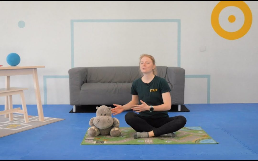 🤸‍♂️ Cours de Baby Gym à la maison #02 : Animaux, zigzags et défis ludiques ! 🎉